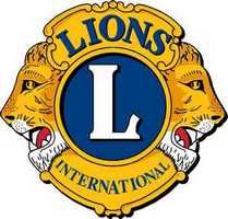 lions logo web 209x200